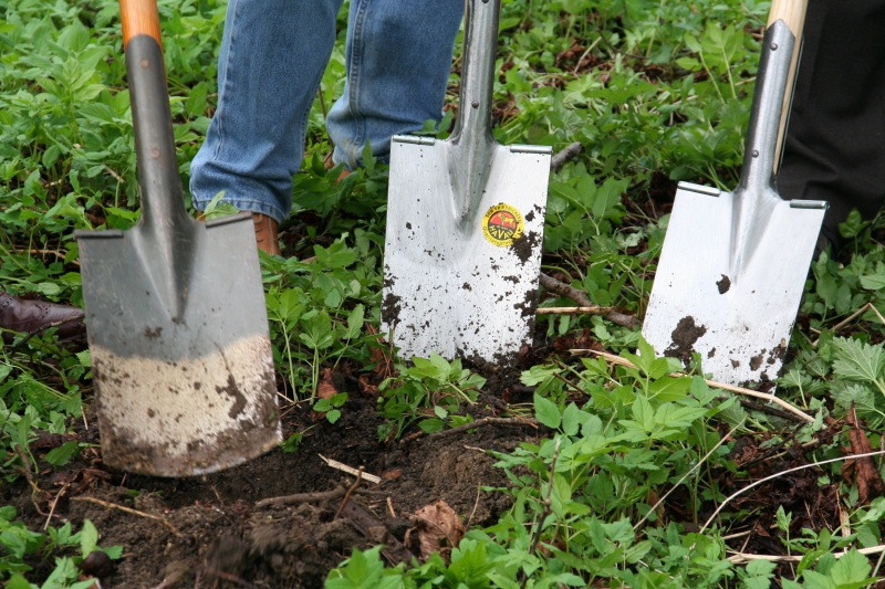 pepiniere-LA GARDE-min_work-lawn-flower-tool-green-backyard-1103633-pxhere.com